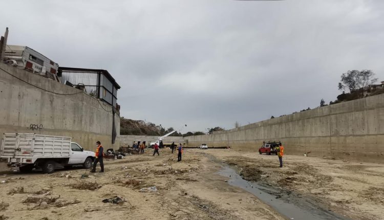 Mar, malla, contaminación, proyecto