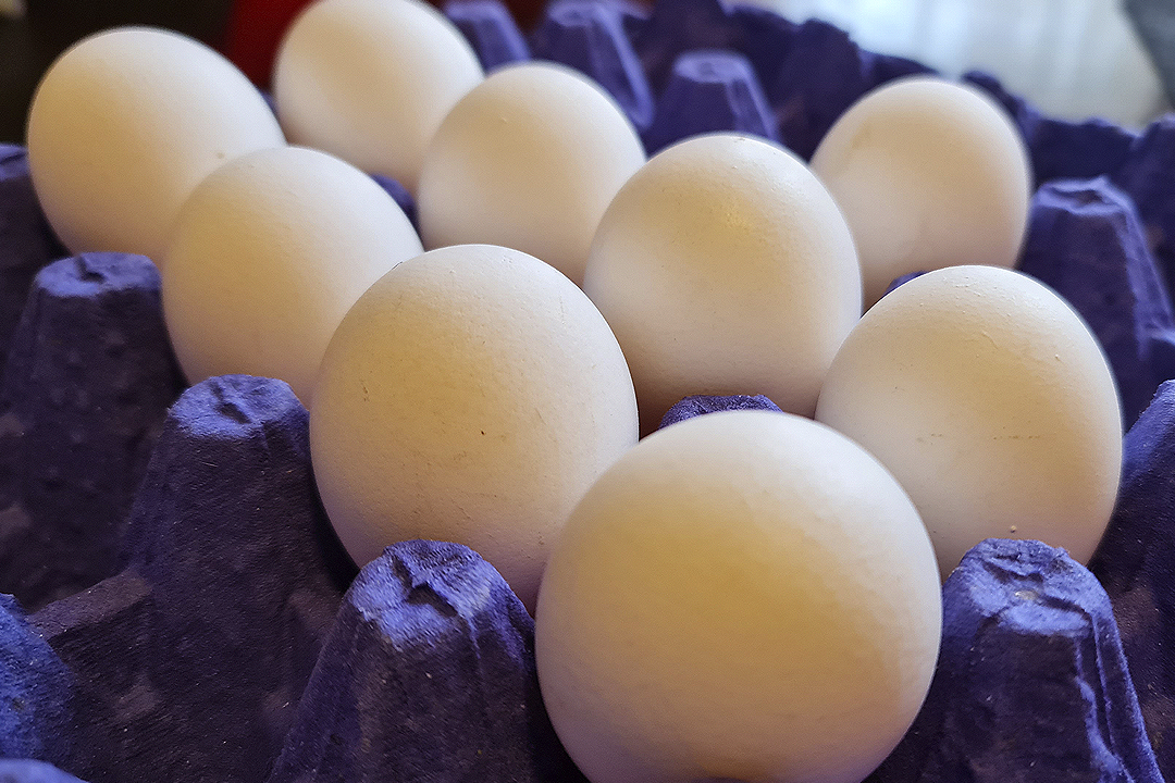 Se eleva el precio del huevo casi a diario: Comerciantes