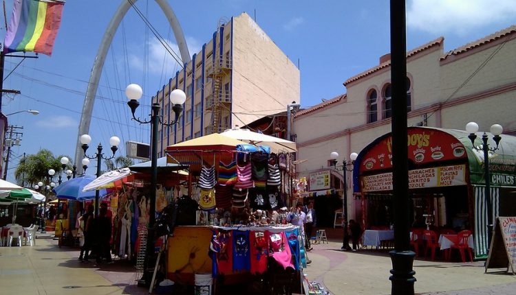 LGBT,  PRI, Diversidad sexual