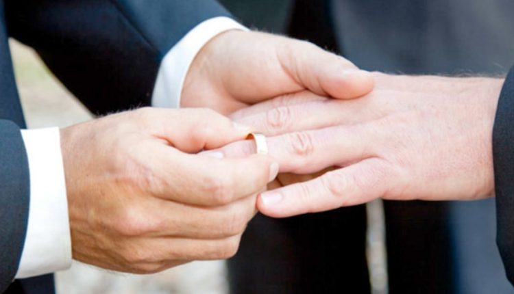 Matrimonio igualitario, ley, articulo , código familiar