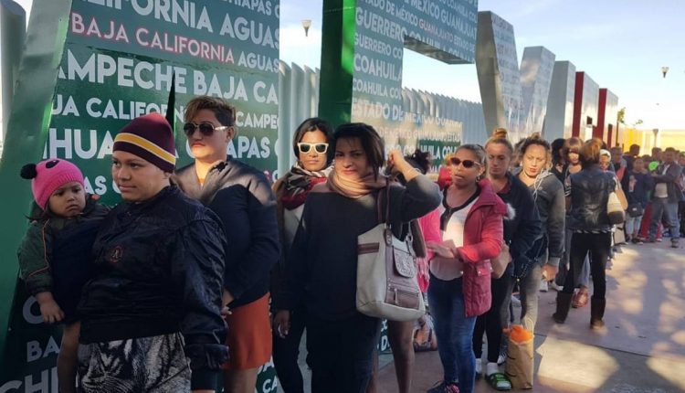 Vacunas, influenza, migrantes