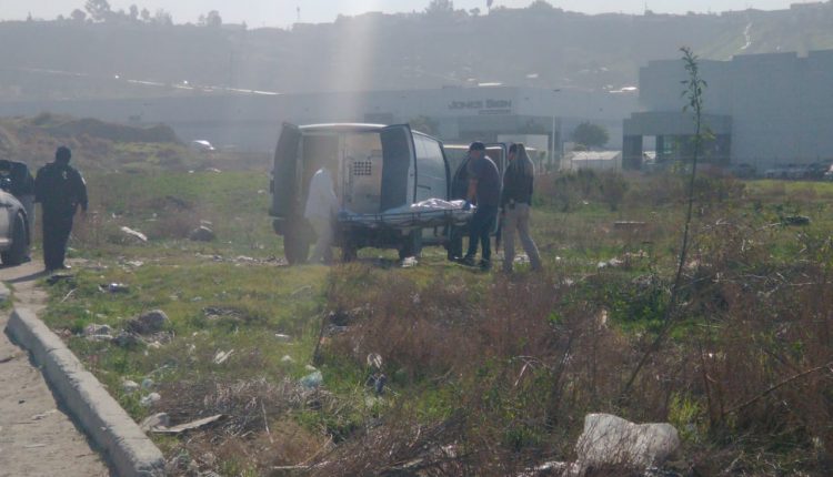 Violencia, homicidios, carteles, secretario