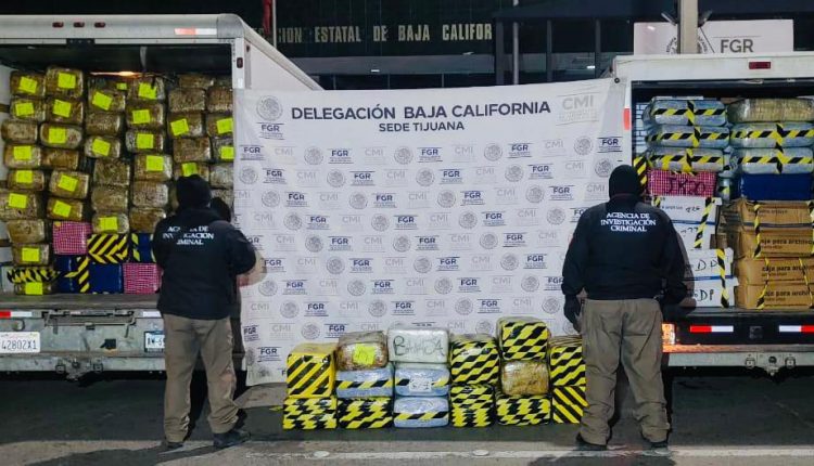 Marihuana, droga, cateo, FGR