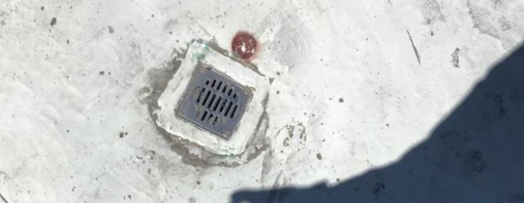 Palacio Municipal, Ayuntamiento, Palacio Municipal