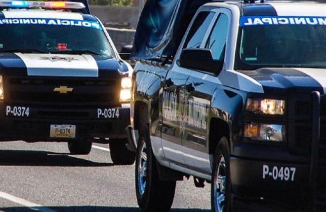 Arma, Delincuencia, Policía
