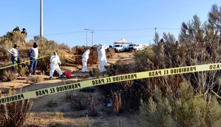 Narcomenudeo, Narcos, Desaparecidos, Narcotráfico