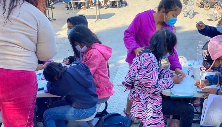 Migración, Migrantes