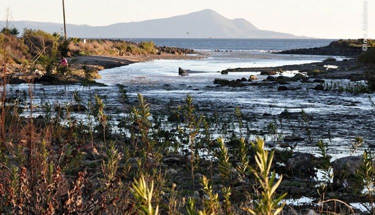 Secretaría de Desarrollo Sustentable, Medio Ambiente, José Carmelo Zavala